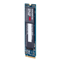 حافظه SSD اینترنال گیگابایت مدل 2280 ظرفیت 128 گیگابایت