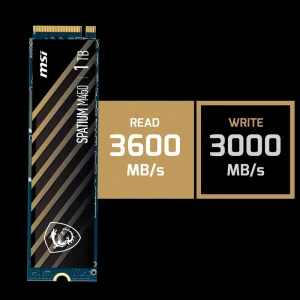 اس اس دی ام اس آی SPATIUM M450 ظرفیت 1 ترابایت