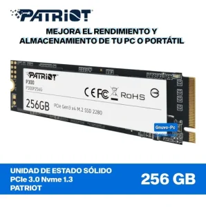 اس اس دی پتریوت P300 ظرفیت 256 گیگابایت